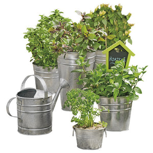 BOTANY REGADOR 2000ML