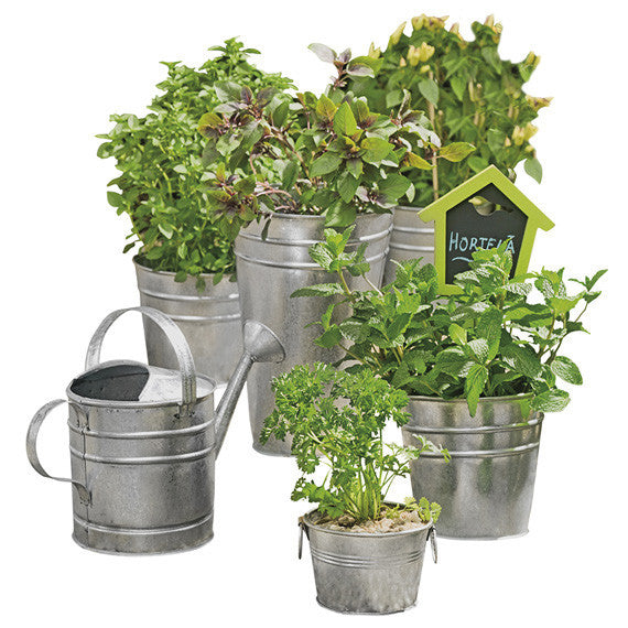 BOTANY REGADOR 2000ML