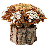 GALHEIROS BOUQUET 3VRD.