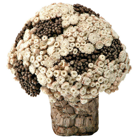 GALHEIROS BOUQUET 3VRD.