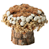 GALHEIROS BOUQUET 3VRD.